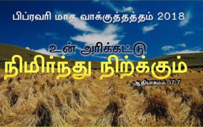 “பிப்ரவரி மாத வாக்குத்தத்த செய்தி – 2018” | Message By Pastor M Simon