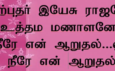 அற்புதர் இயேசு ராஜனே