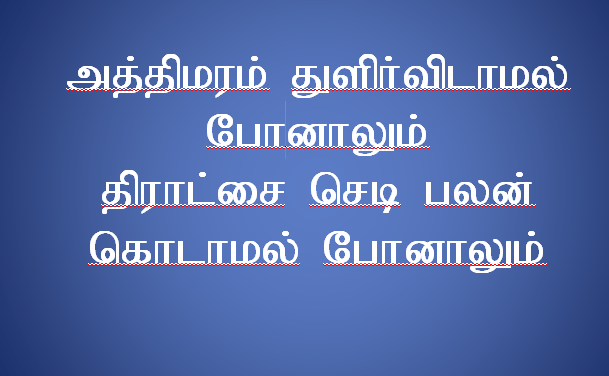 அத்திமரம் துளிர்விடாமல் போனாலும்