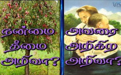 9. நன்மை தீமை அறிவா? அவரை அறிகிற அறிவா? | Message By Pastor M.Simon