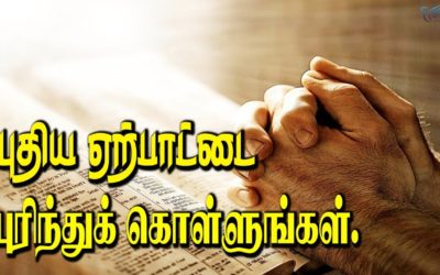 22. புதிய ஏற்பாட்டை புரிந்துக் கொள்ளுங்கள்