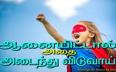 ஆனையிட்டால் அதை அடைந்து விடுவாய்