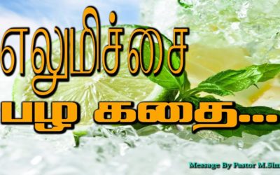 எலுமிச்சை பழ கதை…