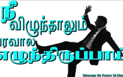 நீ விழுந்தாலும் பரவால எழுந்திருப்பாய்