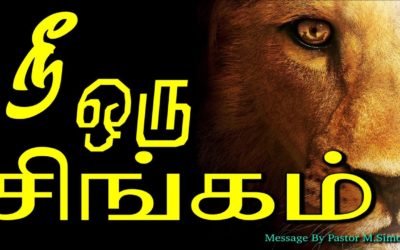 நீ ஒரு சிங்கம்