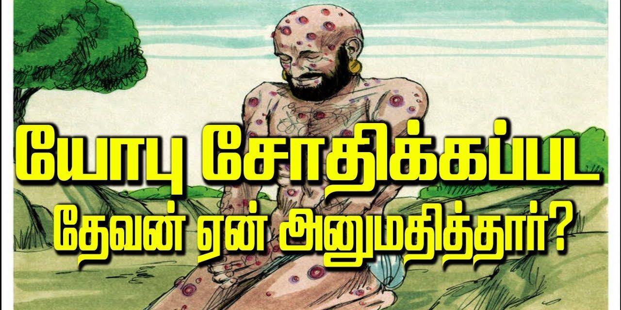 41. யோபு சோதிக்கப்பட தேவன் ஏன் அனுமதித்தார்?