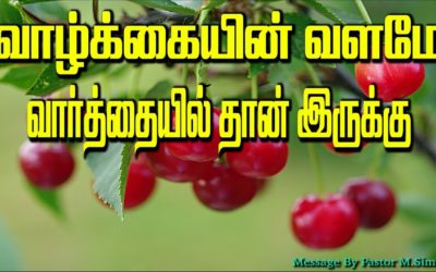 வாழ்க்கையின் வளமே வார்த்தையில் தான் இருக்கு