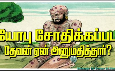 41. யோபு சோதிக்கப்பட தேவன் ஏன் அனுமதித்தார்?