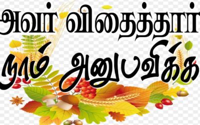 அவர் விதைத்தாா் நாம் அனுபவிக்க