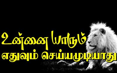 உன்னை யாரும் எதுவும் செய்யமுடியாது