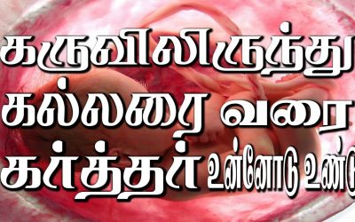 கருவிலிருந்து கல்லரை வரை கர்த்தர் உன்னோடு உண்டு