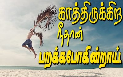 காத்திருக்கிற நீதான் பறக்கபோகின்றாய்