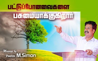 பட்டுப்போனவைகளை பசுமையாக்குகிறாா்