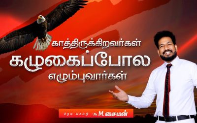 காத்திருக்கிறவர்கள் கழுகைப்போல எழும்புவார்கள் | Message By Pastor M.Simon