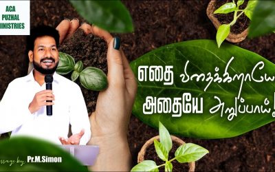 எதை விதைக்கிறாயோ அதையே அறுப்பாய்! | Message By Pastor M.Simon