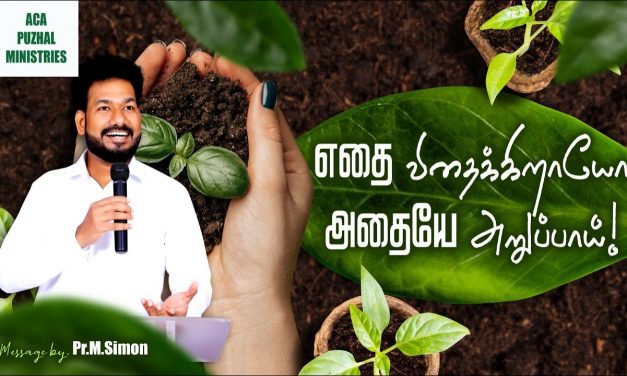 எதை விதைக்கிறாயோ அதையே அறுப்பாய்! | Message By Pastor M.Simon