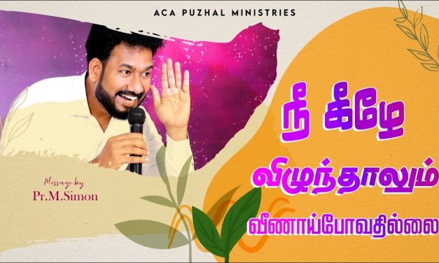 நீ கீழே விழுந்தாலும் வீணாய்போவதில்லை | Message By Pastor M.Simon