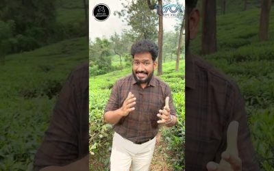 தினம் ஒரு தீர்க்கதரிசனம் – Episode 24 | Message By Pastor M.Simon