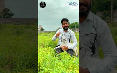 தினம் ஒரு தீர்க்கதரிசனம் – Episode 32 | Message By Pastor M.Simon