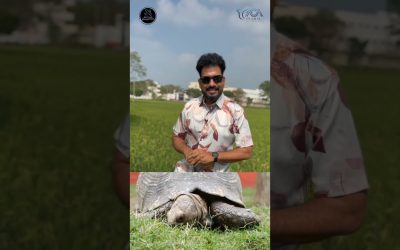 தினம் ஒரு தீர்க்கதரிசனம் – Episode 78 | Message By Pastor M.Simon