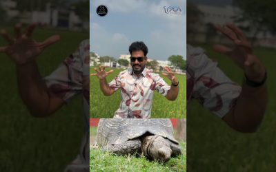 தினம் ஒரு தீர்க்கதரிசனம் – Episode 78 | Message By Pastor M. Simon | Tamil Christian Shorts