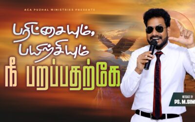 பரிட்சையும், பயிற்சியும் நீ பறப்பதற்கே | Message By Pastor M.Simon