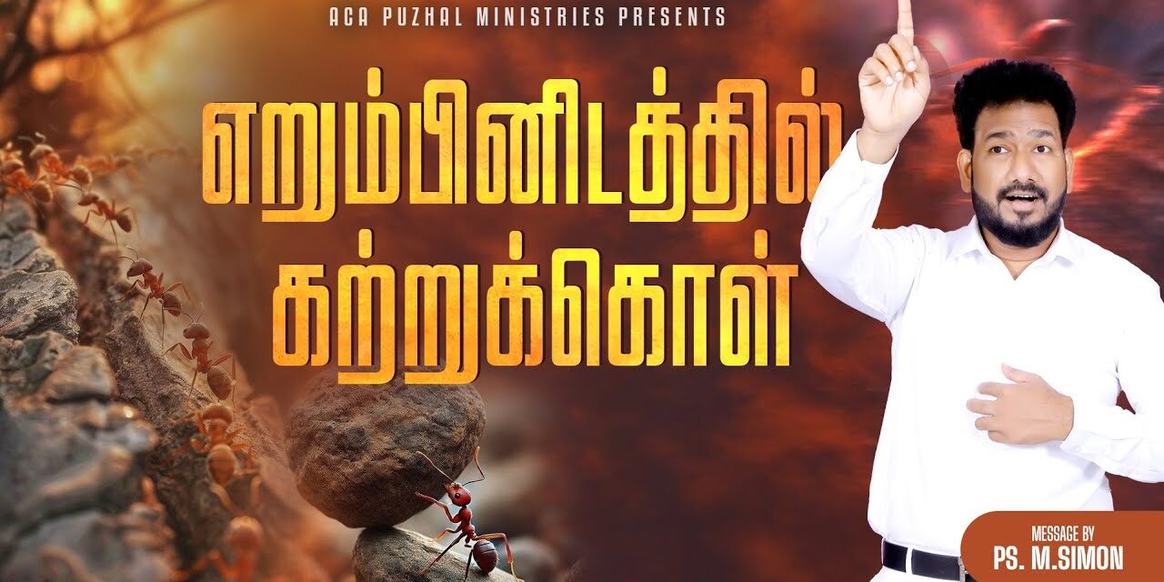 எறும்பினிடத்தில் கற்றுக்கொள் | Message By Pastor M.Simon
