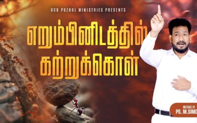 எறும்பினிடத்தில் கற்றுக்கொள் | Message By Pastor M.Simon