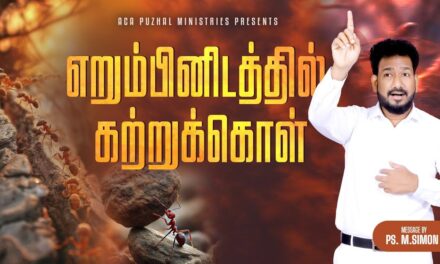 எறும்பினிடத்தில் கற்றுக்கொள் | Message By Pastor M.Simon