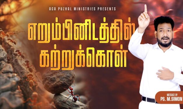 எறும்பினிடத்தில் கற்றுக்கொள் | Message By Pastor M.Simon